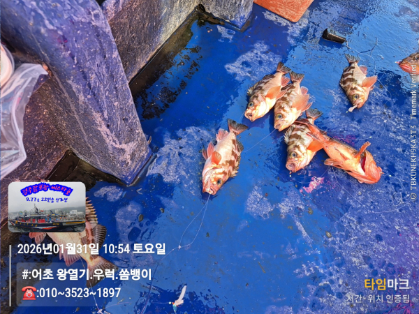 2026-01-31 10.54.44__(#-어초 왕열기.우럭.쏨뱅이)_(-010~3523~1897).jpg