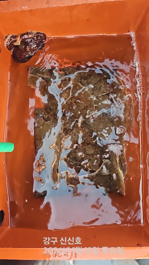 신신낚시 강구점 신신호_사진_20260115_8.jpg