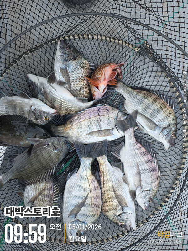 2026-01-05 09.59.03__(대박스토리호).jpg