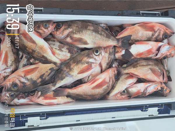 2026-01-17 15.39.54_.jpg