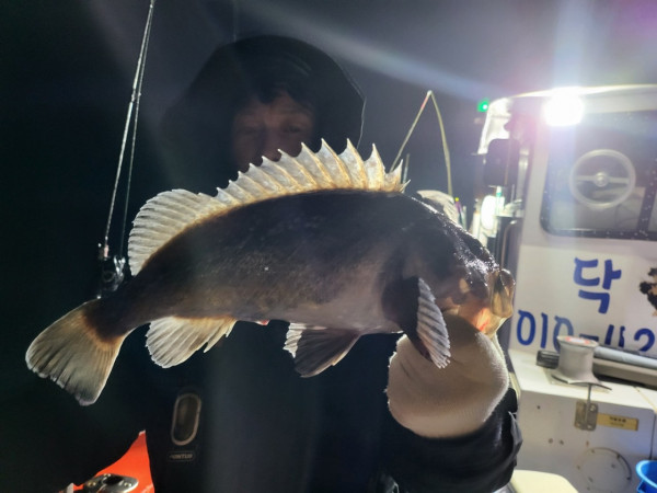 군산 선상낚시, 바다낚시 출조 전문 ☆서군산낚시☆_사진_20260118_9.jpg