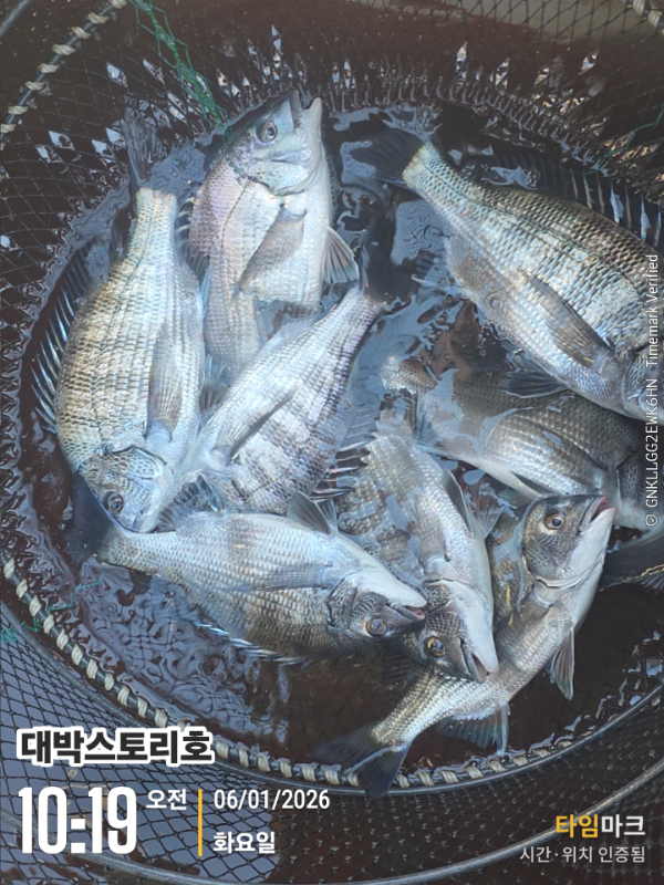 2026-01-06 10.19.16__(대박스토리호).jpg