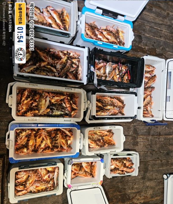 2026-01-17 01.54.51_대한민국_(제목-뉴블루마린호)_(예약전화 010 8924 3131).jpg