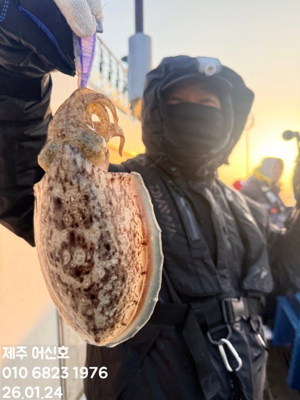 제주 어신호_사진_20260124_9.jpg