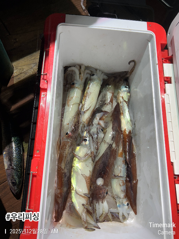 2025-12-28 02.58.31_(#우리피싱).jpeg