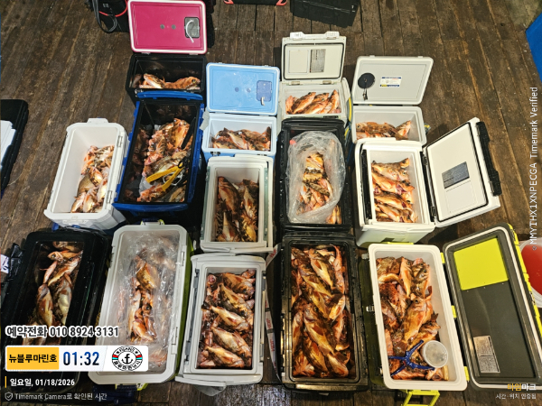 2026-01-18 01.32.43__(제목-뉴블루마린호)_(예약전화 010 8924 3131).jpg