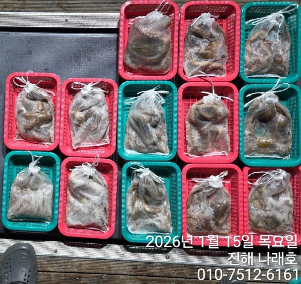 진해 나래호(문어,낙지,갈치)_사진_20260115_18.jpg