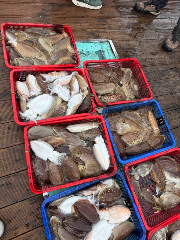 제주 쏘니호_사진_20260105_13.jpg