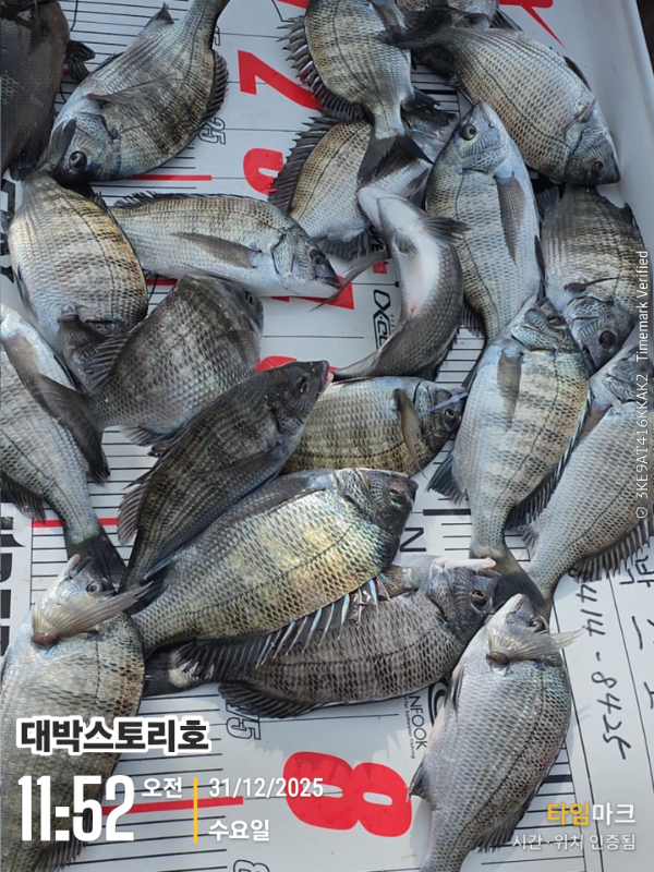 2025-12-31 11.52.56__(대박스토리호).jpg