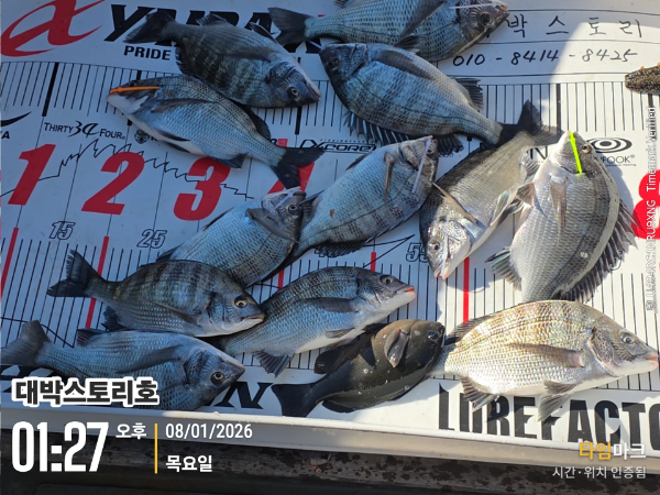 2026-01-08 01.27.21__(대박스토리호).jpg