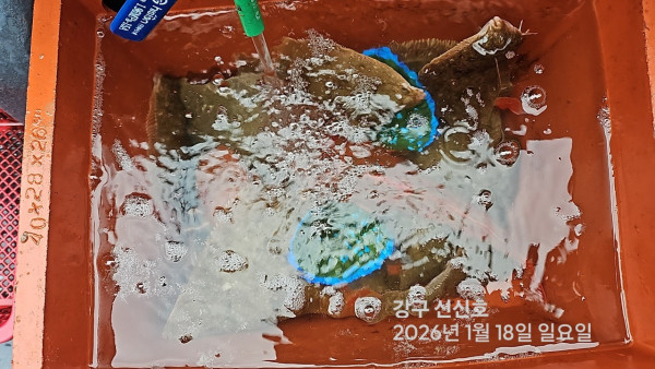 신신낚시 강구점 신신호_사진_20260118_3.jpg