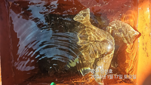 신신낚시 강구점 신신호_사진_20260117_18.jpg