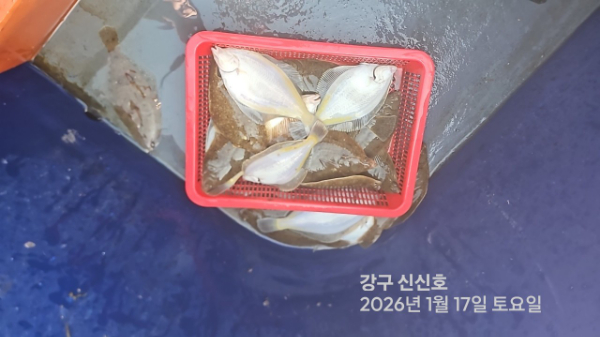 신신낚시 강구점 신신호_사진_20260117_15.jpg