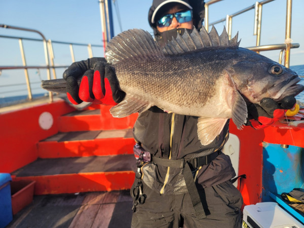 군산 선상낚시, 바다낚시 출조 전문 ☆서군산낚시☆_사진_20260114_5.jpg
