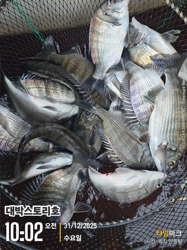 2025-12-31 10.02.36__(대박스토리호).jpg