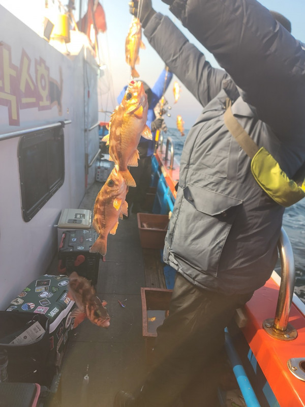 군산 선상낚시, 바다낚시 출조 전문 ☆서군산낚시☆_사진_20260114_11.jpg