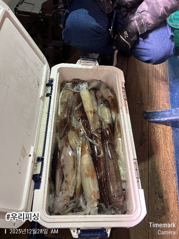 2025-12-28 02.53.25_(#우리피싱).jpeg