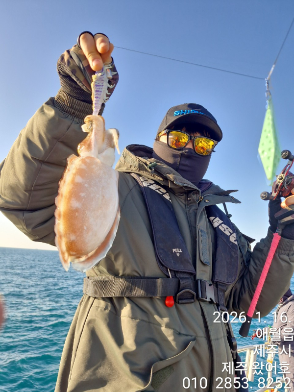 제주왔어호_사진_20260116_21.jpg