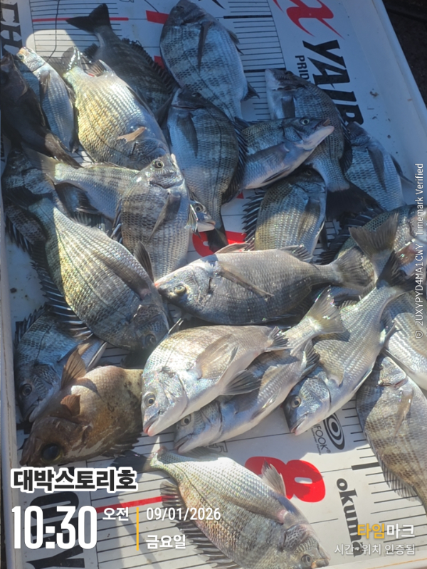 2026-01-09 10.30.23__(대박스토리호).jpg