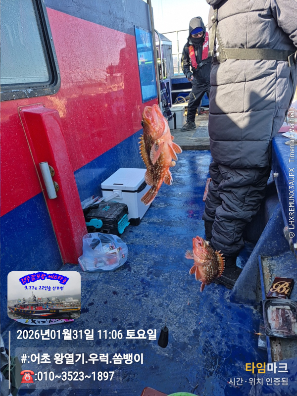 2026-01-31 11.06.29__(#-어초 왕열기.우럭.쏨뱅이)_(-010~3523~1897).jpg