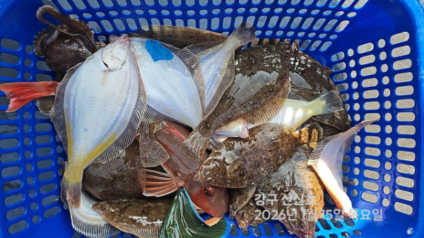 신신낚시 강구점 신신호_사진_20260115_10.jpg