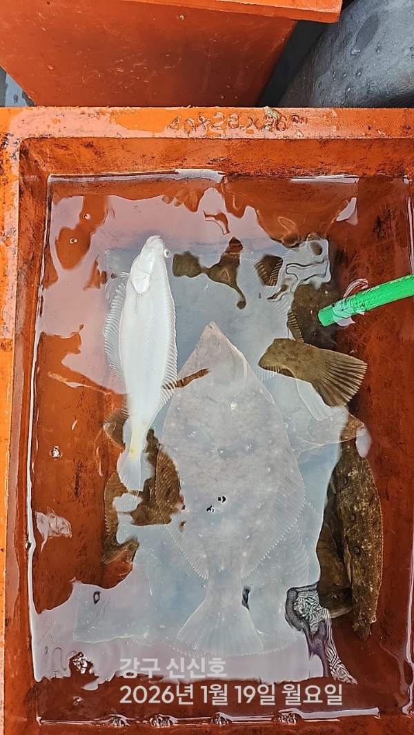 신신낚시 강구점 신신호_사진_20260119_1.jpg
