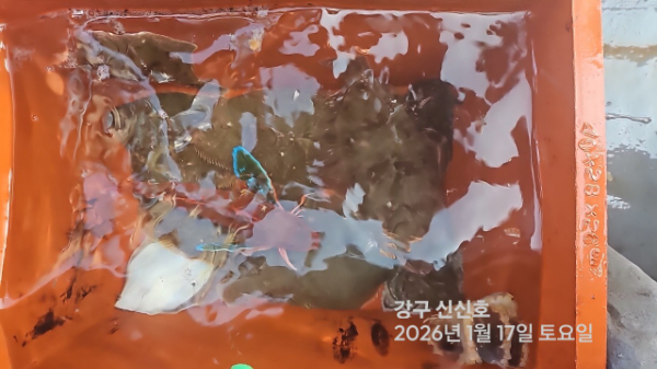 신신낚시 강구점 신신호_사진_20260117_8.jpg