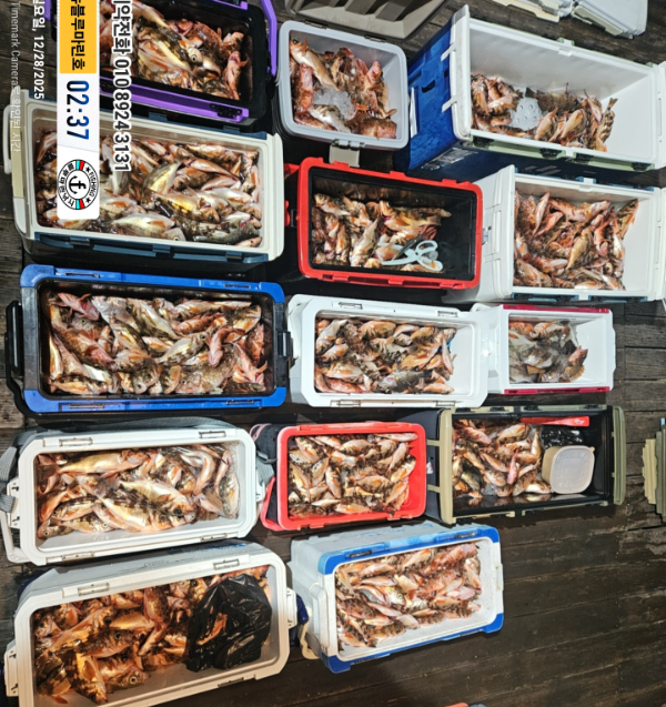 2025-12-28 02.37.12_대한민국_(제목-뉴블루마린호)_(예약전화 010 8924 3131).jpg