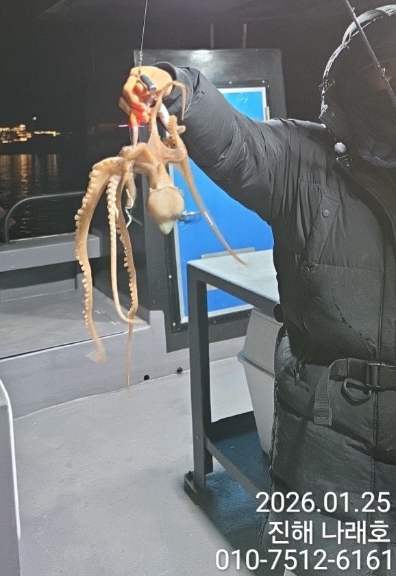 진해 나래호(문어,낙지,갈치)_사진_20260126_14.jpg