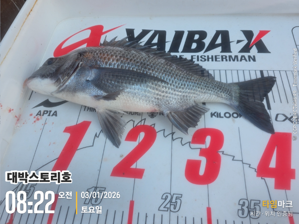 2026-01-03 08.22.06__(대박스토리호).jpg