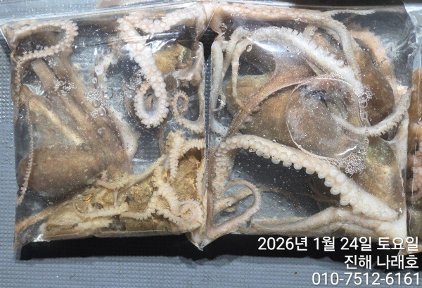 진해 나래호(문어,낙지,갈치)_사진_20260124_8.jpg