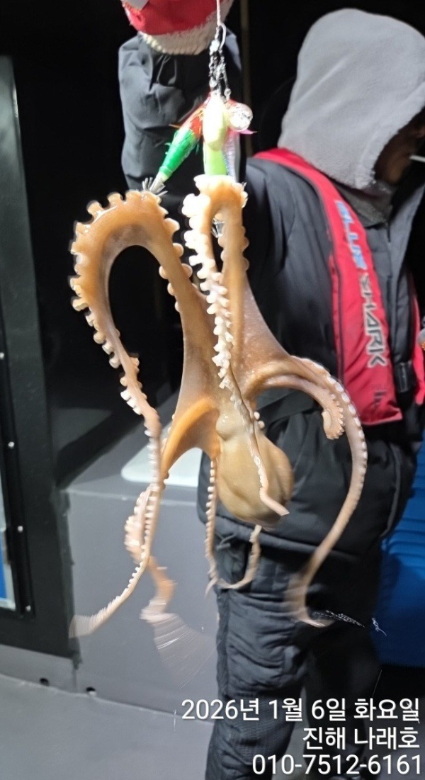 진해 나래호(문어,낙지,갈치)_사진_20260107_13.jpg