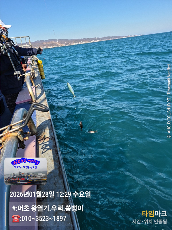 2026-01-28 12.29.43__(#-어초 왕열기.우럭.쏨뱅이)_(-010~3523~1897).jpg