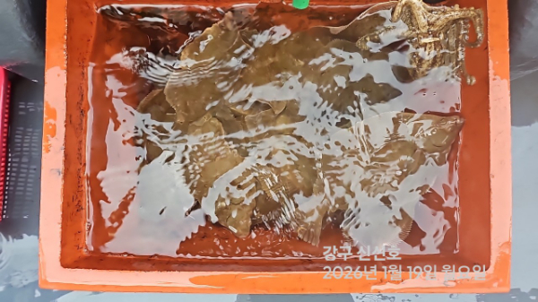 신신낚시 강구점 신신호_사진_20260119_8.jpg