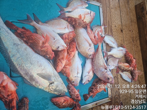 KakaoTalk_20260112_171045529_01 (1).jpg