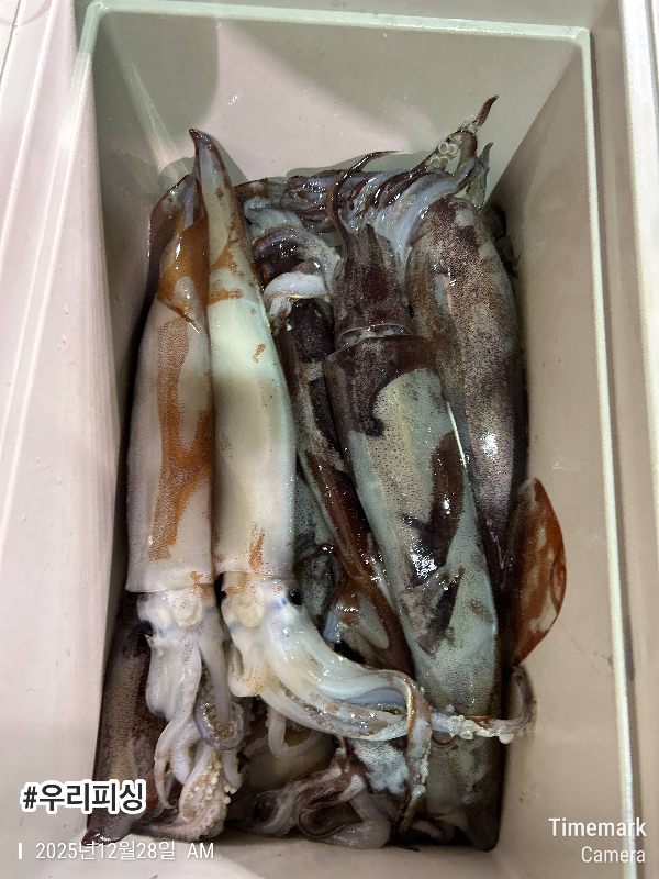 2025-12-28 02.59.41_(#우리피싱).jpeg