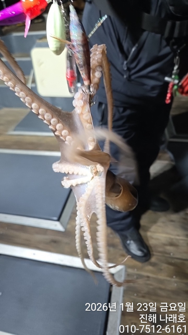 진해 나래호(문어,낙지,갈치)_사진_20260124_4.jpg