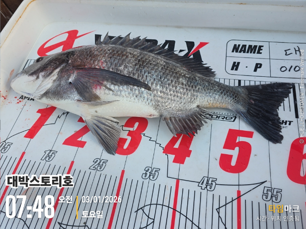 2026-01-03 07.48.56__(대박스토리호).jpg