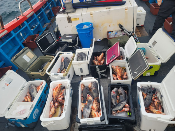 군산 선상낚시, 바다낚시 출조 전문 ☆서군산낚시☆_사진_20260114_1.jpg