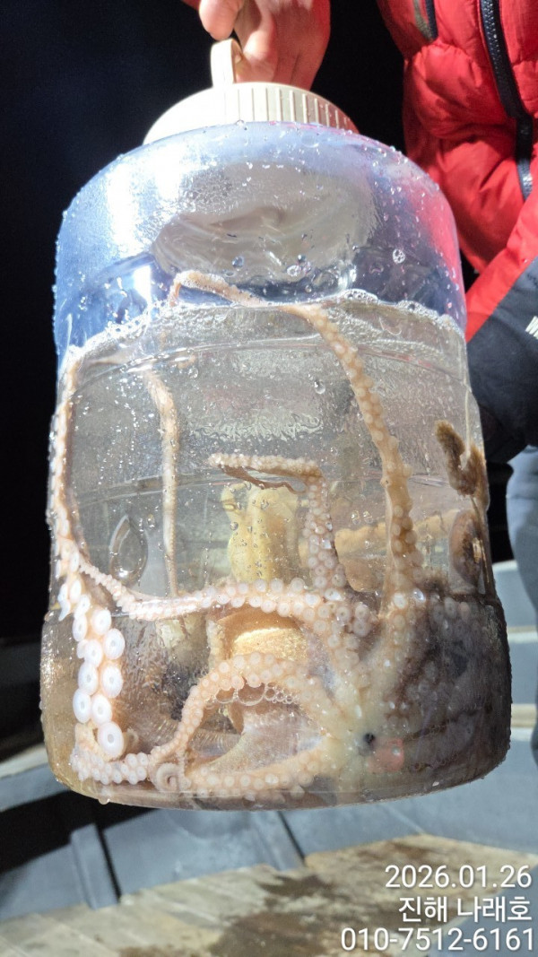 진해 나래호(문어,낙지,갈치)_사진_20260126_4.jpg