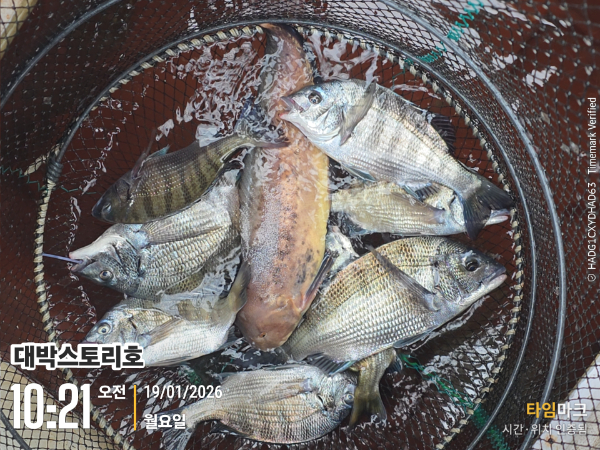 2026-01-19 10.21.51__(대박스토리호).jpg