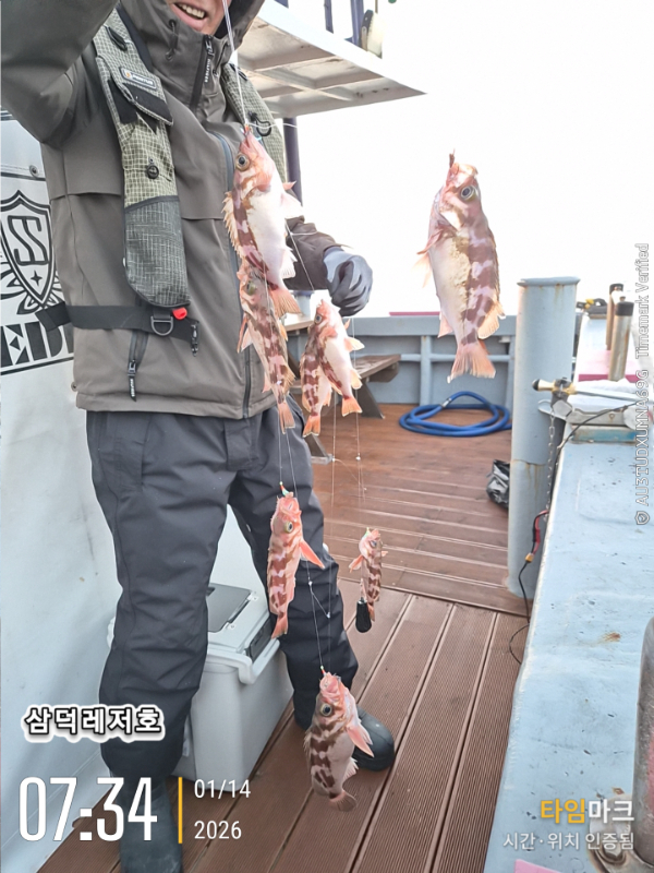 2026-01-14 07.34.43_.jpg