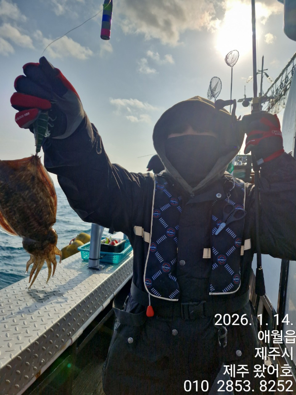 제주왔어호_사진_20260115_25.jpg