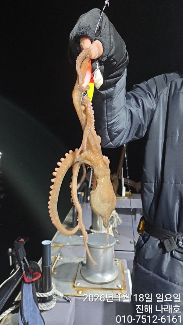 진해 나래호(문어,낙지,갈치)_사진_20260120_13.jpg