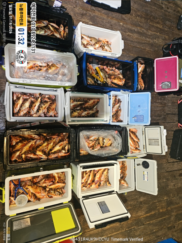 2026-01-18 01.32.48__(제목-뉴블루마린호)_(예약전화 010 8924 3131).jpg