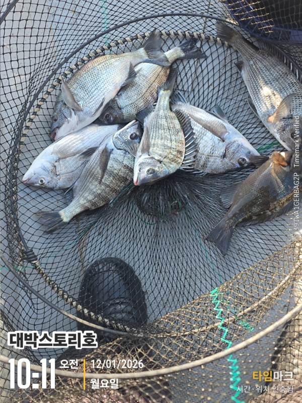 2026-01-12 10.11.58__(대박스토리호).jpg