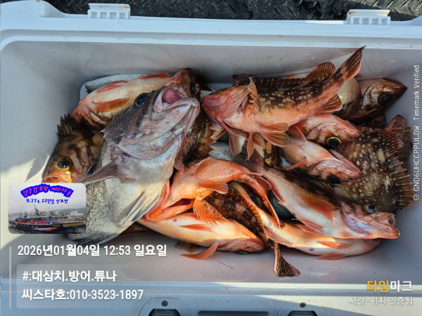 2026-01-04 12.53.28__(#-대삼치.방어.튜나)_(씨스타호-010-3523-1897).jpg