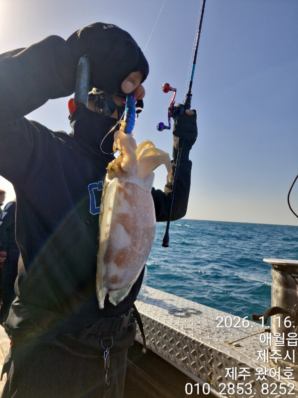 제주왔어호_사진_20260116_25.jpg