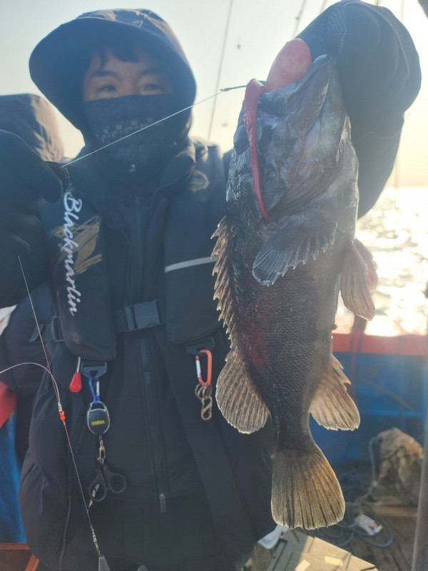 군산 선상낚시, 바다낚시 출조 전문 ☆서군산낚시☆_사진_20260114_4.jpg