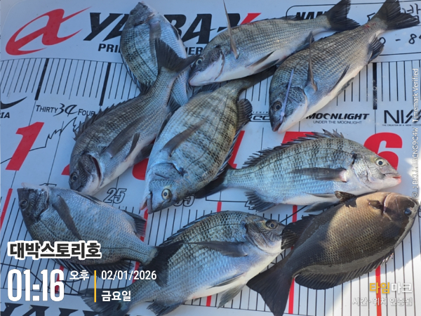 2026-01-02 01.16.03__(대박스토리호).jpg